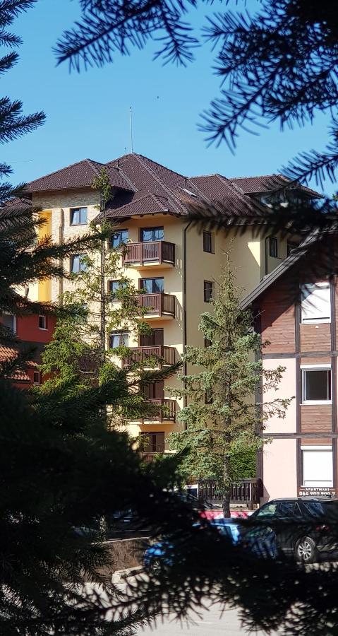 Papillon 1 * Zlatibor
